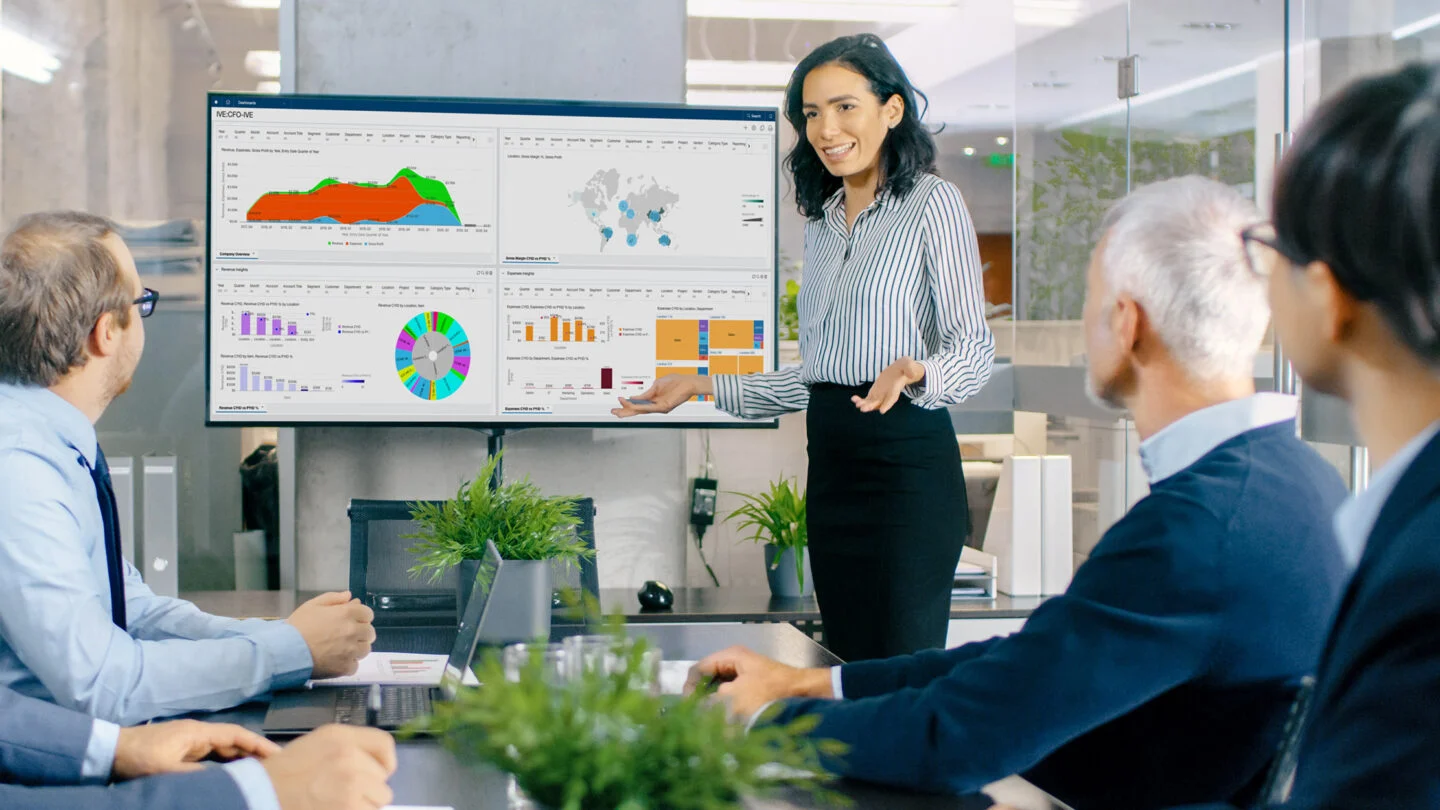 FINANCIAL SOFTWARE